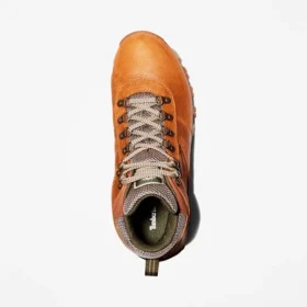 Bota de caminhada impermeável Mt. Maddsen Mid para homem