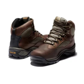 Botas de caminhada Chocorua Gore-tex “Castanho”