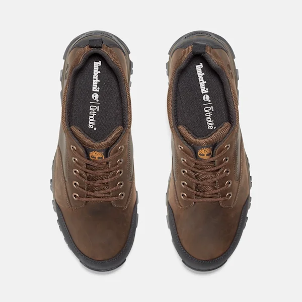 Botas de caminhada impermeáveis de cano baixo Mt. Maddsen para homem – Castanho Botas de caminhada impermeáveis de cano baixo Mt. Maddsen para homem – Castanho