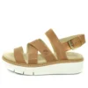 Safari Dawn “Castanho Branco”