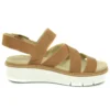 Safari Dawn “Castanho Branco”