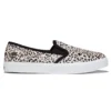 Skyla Bay “Preto Whiteleopard”