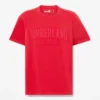 T-shirt masculina com logótipo bordado e efeito desgastado T-shirt masculina com logótipo bordado e efeito desgastado