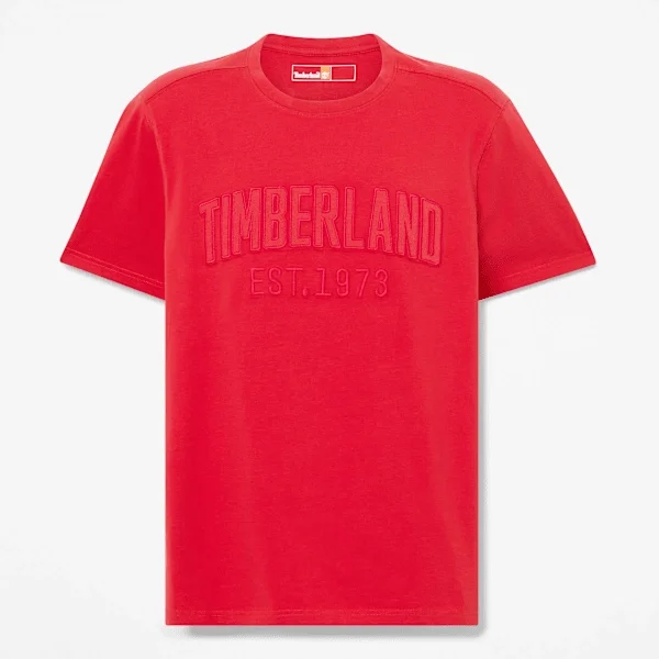 T-shirt masculina com logótipo bordado e efeito desgastado T-shirt masculina com logótipo bordado e efeito desgastado