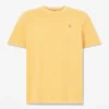 T-shirts de manga curta tingidas Dunstan River para homens