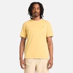 T-shirts de manga curta tingidas Dunstan River para homens