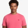 T-shirts de manga curta tingidas Dunstan River para homens