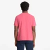 T-shirts de manga curta tingidas Dunstan River para homens