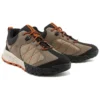 Trailquest “Castanho”